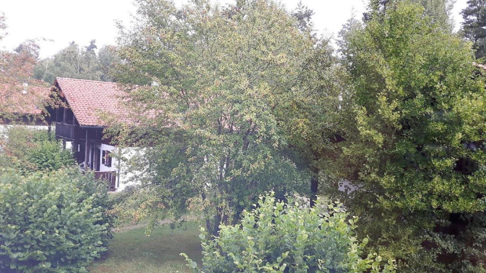 Ferienhaus Virzi - Waldferiendorf 雷根 外观 照片